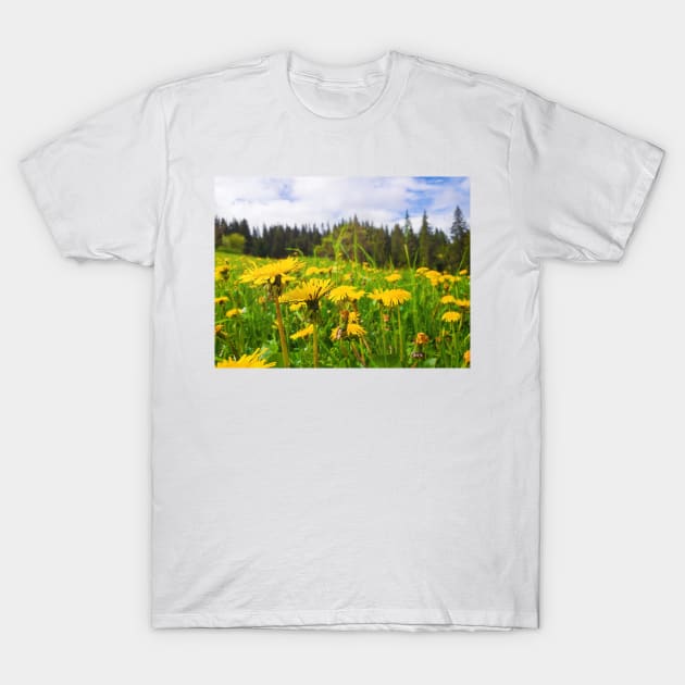 dandelion meadow T-Shirt by psychoshadow